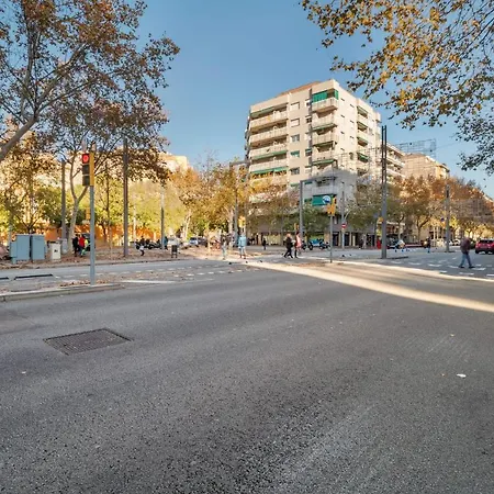 Apartment Amazing 3 Bedroom With Terrace In Poble-sec *